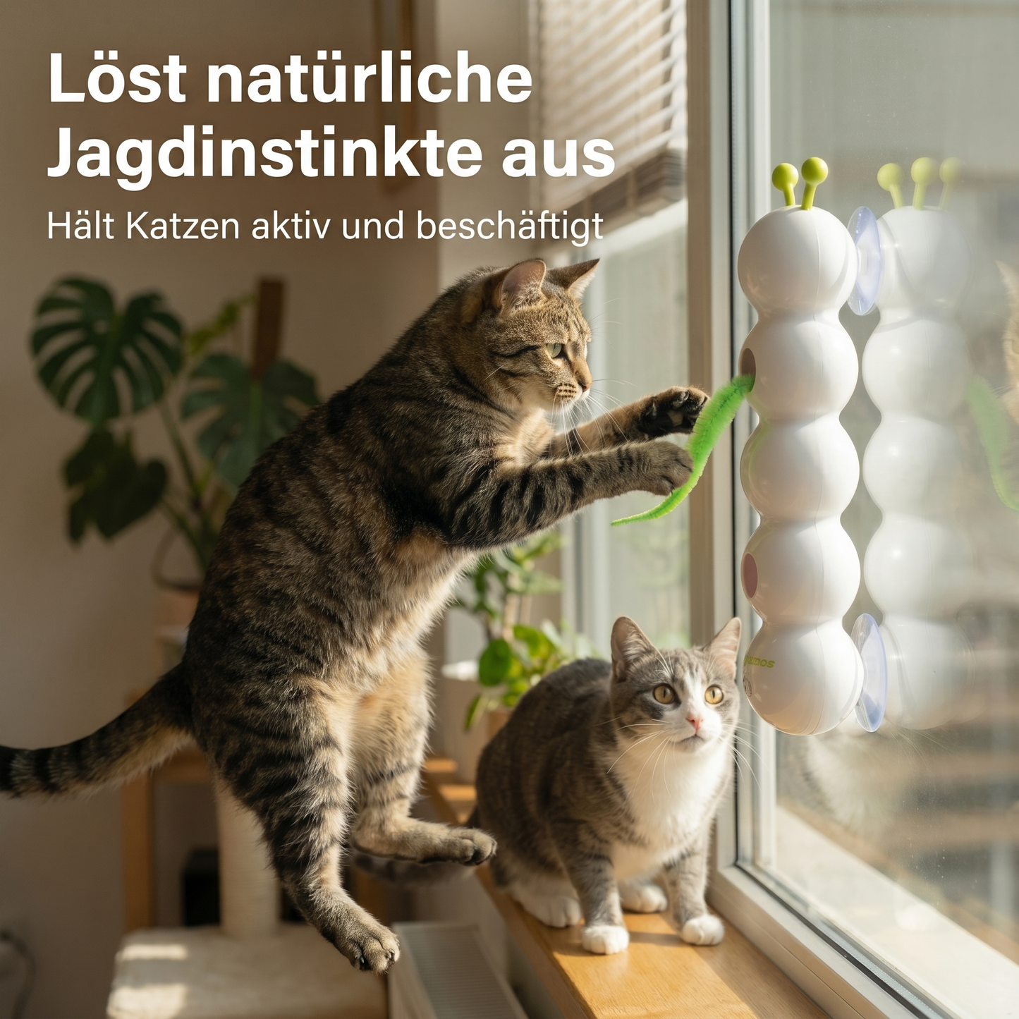 Interaktives Katzenspielzeug Wurm – Bewegungsspielzeug für Katzen