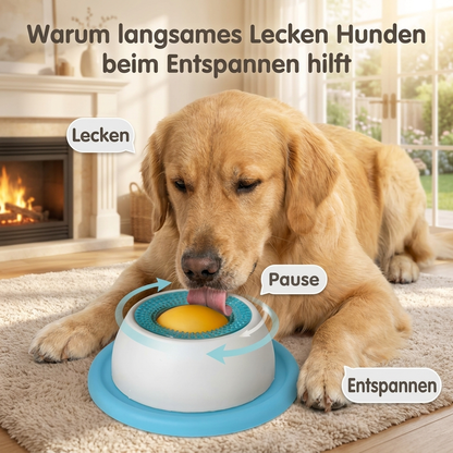Lecknapf für Hunde – Beruhigung & Beschäftigung beim Schlecken