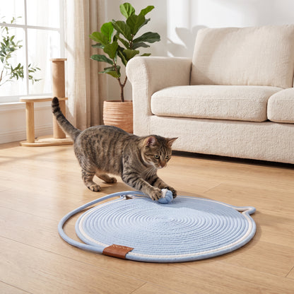 Interactive Cat Scratch Mat with Hanging Ball