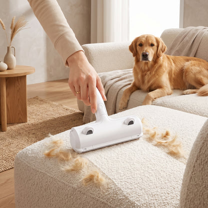 Reusable Pet Fur Remover