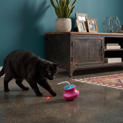 Automatic Roly-Poly Laser Cat Toy for Indoor Cats