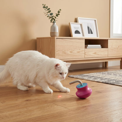 Automatic Roly-Poly Laser Cat Toy for Indoor Cats