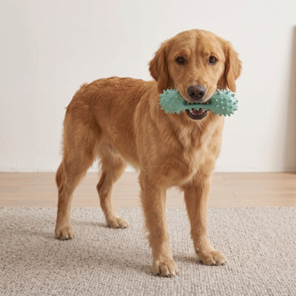 Indestructible Puppy Teething Chew Toy for Dogs