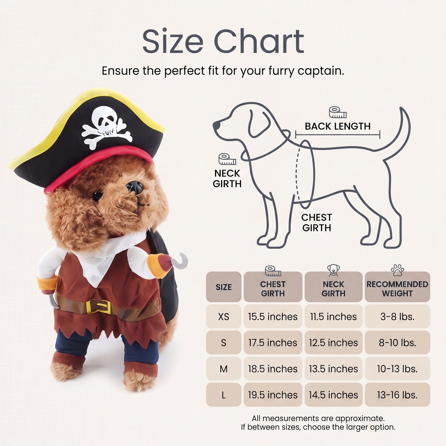 Funny Pirate Dog Costume
