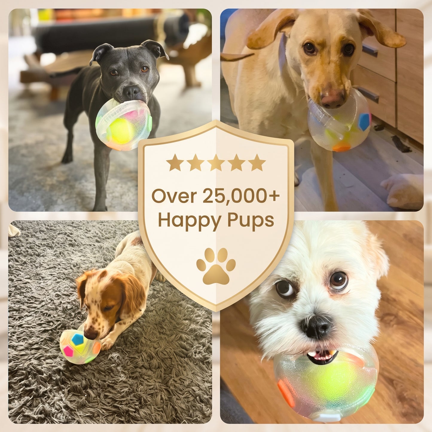 Dog Anti Stress Ball