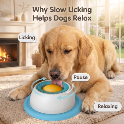 Lick Bowl for Dogs – Calm, Enrichment & Slow Feeding