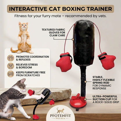 Interactive Cat Punching Bag Toy